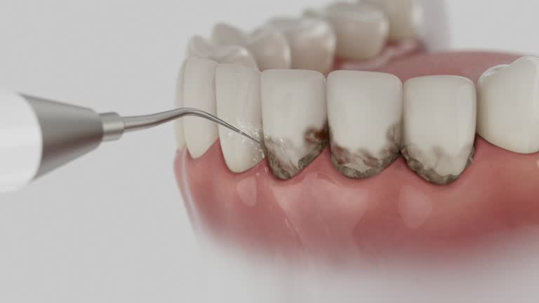 Reliable Dental contractor in Craigsville, WV by Dentist Open Now